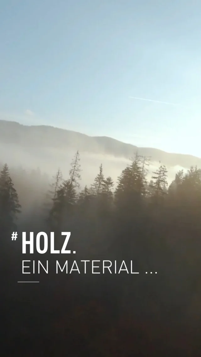 #Holz Ein Material ... und ein Lebensgefühl 

#hbwclt #regional #holzbauwerk #klima #schwarzwald #zukunft #clt #holzbauBW #holzbauwerkschwarzwald #CLT #holzbauoffensive #holzbau #wood #holz #bsp #brettsperrholz